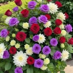 Profile Picture of Doris Lorenzo (@doris.isi) on Facebook