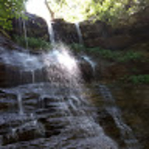 Michelle Mccarter - Poshmark Profile Picture of Michelle Mccarter (@michellemcca519) on Poshmark