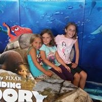 Profile Picture of Dee Fischer (@dee-fischer-2) on Quora