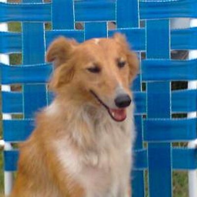 Profile Picture of Benjamin Musso 777 (@MussoBenja) on Twitter