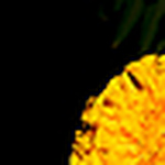 Profile Picture of Said BIN AhMaD'' (@Said BIN AhMaD'') on Flickr