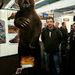 Profile Picture of Andreas Tillmann (@bassewitz01) on Pinterest