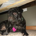 Profile Picture of Grant Hickey⚾️🏈🐠 (@grant.hickey2018) on Instagram