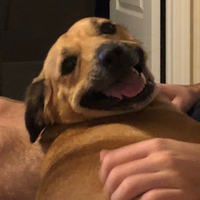 Zach Barbee - Twitter Profile Picture of Zach Barbee (@Barbeemogar) on Twitter