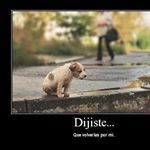 Agapito Vélez Ovando - Instagram Profile Picture of Agapito Vélez Ovando (@avelezovando) on Instagram