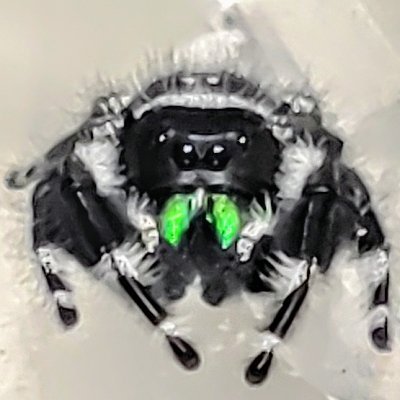 Profile Picture of Jeremy Emerson (@JeremyE83783478) on Twitter