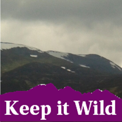 Profile Picture of Al_McGowan (@al420al) on Twitter