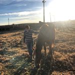 Profile Picture of João Lucas Caldas Brolini (@joaolucasbrolini) on Instagram