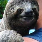 Profile Picture of Lindsay Slorach (@1jzs_crown) on Instagram