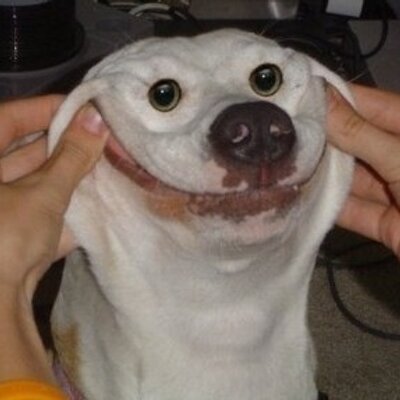 Profile Picture of Dick Harte (@dickharte) on Twitter