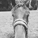 Profile Picture of David Cabanas Alonso (@davidcabanasal) on Instagram