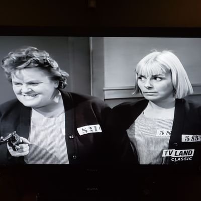 Profile Picture of Gary Layman (@solaroboe) on Twitter