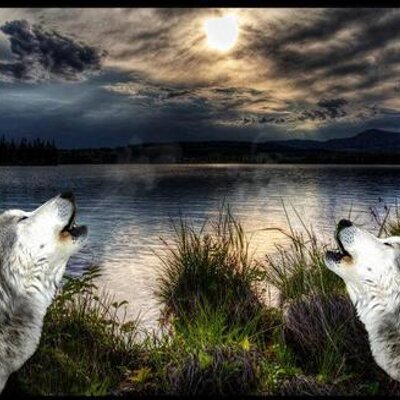 Profile Picture of Meri Jayne Sharp (@MeridithJayne) on Twitter