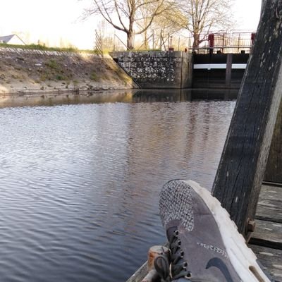 Profile Picture of Inès (@InsDavid4) on Twitter