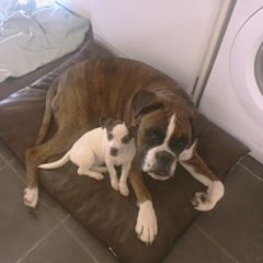 Profile Picture of Ben Clough (@benclough31) on Tiktok