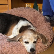 Profile Picture of Alex Breen (@alexbreen9948) on Youtube