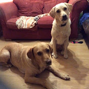 Profile Picture of Andrea Bloomfield (@andreabloomfield5903) on Youtube