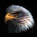 Profile Picture of David Markos (@david.markos.10) on Facebook