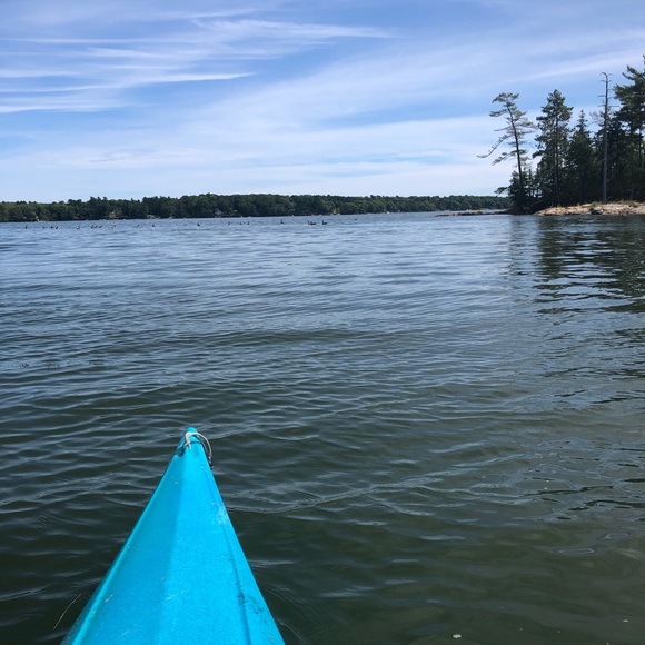 Anne Makeever - Poshmark Profile Picture of Anne Makeever (@atmakeever) on Poshmark