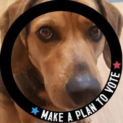 Profile Picture of jeffhaase808 (@jeffhaase808) on Tiktok