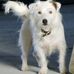 Profile Picture of Bill Cuthbert (@bill.cuthbert.7) on Facebook