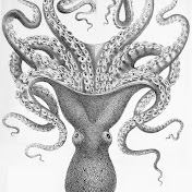 Profile Picture of Joseph Maher (@josephmaher6760) on Youtube