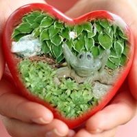 Profile Picture of Laurie Mcgibbon (@laurie-mcgibbon) on Quora