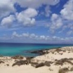 Profile Picture of Aleksandra Dziemaszkiewicz (@eaubergine) on Instagram