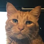 Profile Picture of Eric Augspurger (@eric.augspurger.5) on Facebook