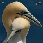 Profile Picture of Edward Khoury (@edward.houry) on Facebook