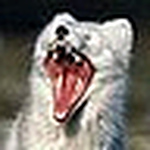 Profile Picture of Jorge Mario G. Mazo (@jorge mario) on Flickr