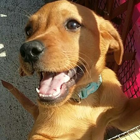 Profile Picture of James pek (@jamespek) on Tiktok