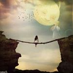 Profile Picture of Michael Elbing (@michaelelbing) on Instagram