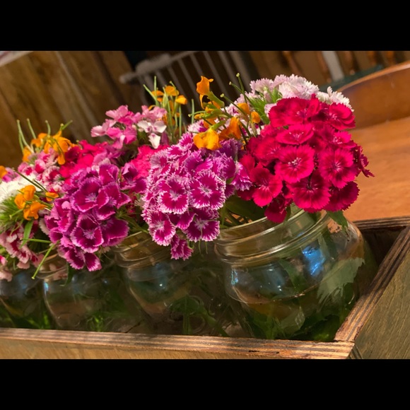 Profile Picture of Janeen James (@janjams) on Poshmark