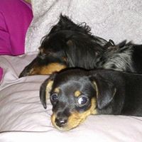 Profile Picture of Janet Bishop-brown (@janet-bishop-brown) on Quora