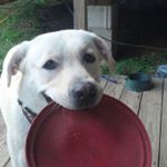 Profile Picture of Derrick Pyle (@dpyle141) on Instagram