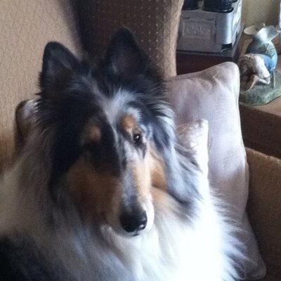 Profile Picture of Kim Deaton (@BabsDeaton) on Twitter