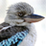 Profile Picture of Yvonne (@ika_pol) on Flickr