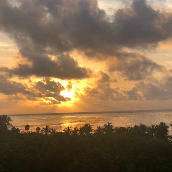 Profile Picture of Jenn Terranova (@jterranova94) on Poshmark