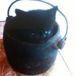 Profile Picture of Lawrence gonçalves da silva (@lawrencegoncalvesdasilva8759) on Instagram