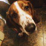 Profile Picture of Walter Wiggins Balbas (@walterbalbas) on Instagram