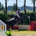 Hazel Áine Bradley - Facebook Profile Picture of Hazel Áine Bradley (@Hazel-Áine-Bradley) on Facebook