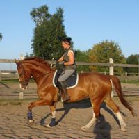 Profile Picture of Arta Cinkus (@arta-cinkus) on Quora