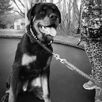 Profile Picture of luke_pifer069 (@lukepifer) on Instagram