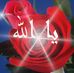 Profile Picture of Mhamad Albacha (@mhamad.albacha) on Facebook