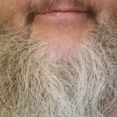 Profile Picture of Danny Dingman (@JEFF24GRDN) on Twitter