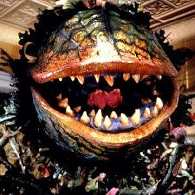 Profile Picture of Andy (@BolsonShaft) on Twitter