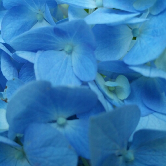 Profile Picture of Meredith Redding (@92meredith) on Poshmark