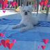 Profile Picture of Julie Sikorski (@julie.sikorski.12) on Facebook