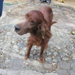 Profile Picture of Jean-Paul Gagnère (@jeanpaulgagnere) on Instagram